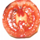 Illustration for article titled Afternoon News: Dark Knight Tomatoes, Wozs Odor, Shopping With Microsoft and More